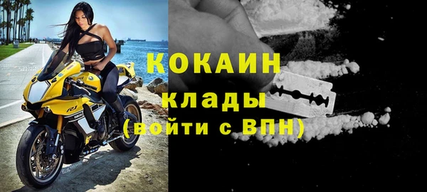 дмт Верея