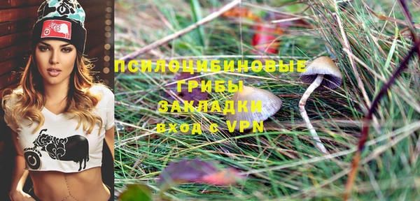 mix Бородино