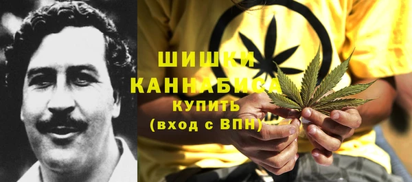 mix Бородино