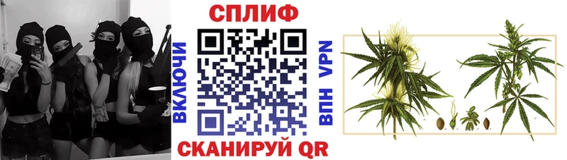 Канабис Bruce Banner  купить наркоту  маркетплейс официальный сайт  Кингисепп 